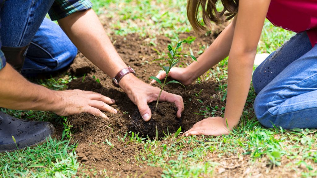 father and daughter planting a seedling